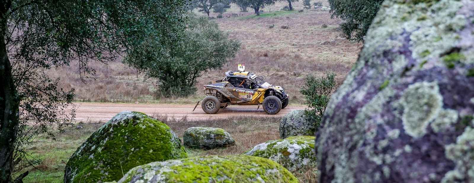 Detalhe--portugueses-lideram